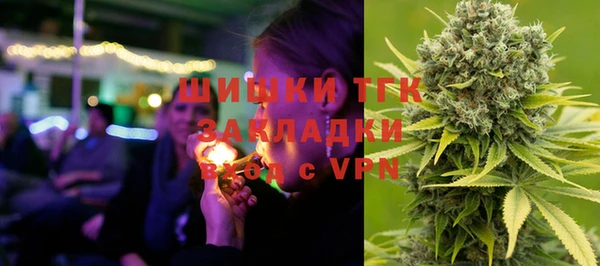 ГАЛЛЮЦИНОГЕННЫЕ ГРИБЫ Алзамай