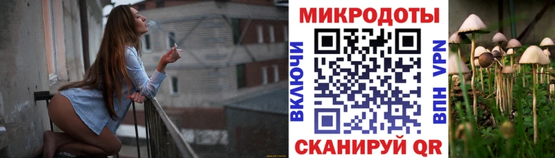 Псилоцибиновые грибы MAGIC MUSHROOMS  Чаплыгин 